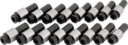 Allstar Performance Rocker Arm Nuts ALL90206