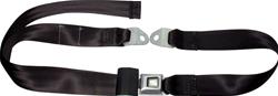 Allstar Performance Seat Belts ALL98110