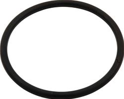 Allstar Performance Water Neck Gaskets and O-Rings ALL99136