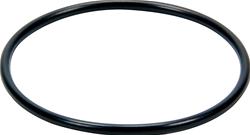 Allstar Performance Water Neck Gaskets and O-Rings ALL99356
