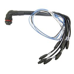 AiM Sports Expansion Harnesses V02573020