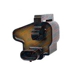 Genuine GM Ignition Coil 19355500