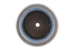 ACT Pilot Bushings PB1009