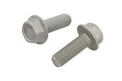 ACDelco Bolts and Screws 11515776
