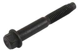 ACDelco Camshaft Bolts 11518856