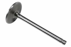 ACDelco Valves 12556317
