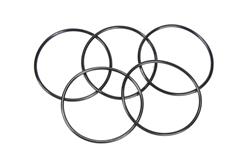 ACDelco O-Rings 12559095