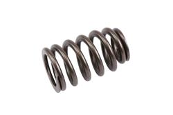ACDelco Valve Springs 12592506