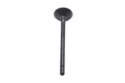 ACDelco Valves 12636187