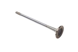 ACDelco Valves 12637241