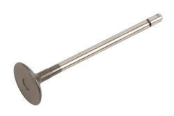 ACDelco Valves 12638805