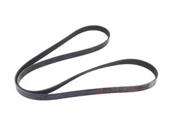 ACDelco V-Ribbed Serpentine Belts 12647764