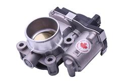 ACDelco Throttle Bodies 12673013