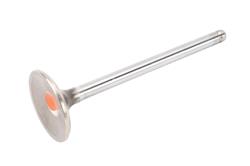 ACDelco Valves 12694167