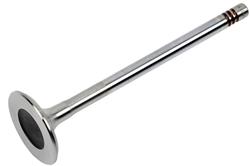 ACDelco Valves 12791961