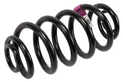 ACDelco GM Genuine Parts Coil Springs for 2014-2020 IMPALA, 2010-2016 LACROSSE - 13312084