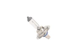 ACDelco Light Bulbs 13586976
