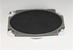 ACDelco Radio Speakers 15173233