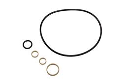 ACDelco Gold Power Steering Pump Seals 15825938