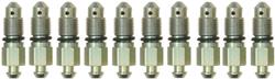 ACDelco Brake Bleeder Screws 19382907