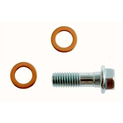 ACDelco - Brake Caliper Bolts and Pins for 2017-2019 CHALLENGER, CHARGER - 19424537