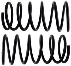 ACDelco Coil Springs 19161292