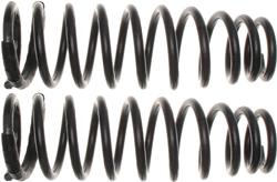 ACDelco Coil Springs 19237844