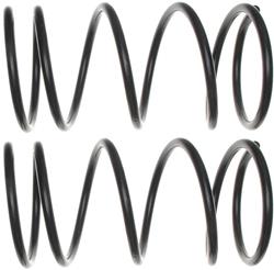 ACDelco Coil Springs 19237848