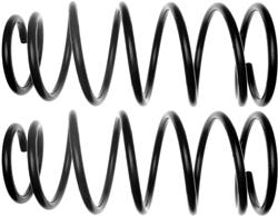 ACDelco Coil Springs 19239605