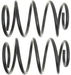 ACDelco Coil Springs 19264639