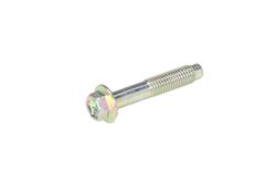 ACDelco Bolts and Screws 19316119