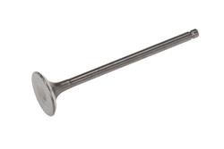 ACDelco Valves 19316204