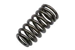 ACDelco Valve Springs 19316205
