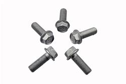 ACDelco Bolts and Screws 19316811
