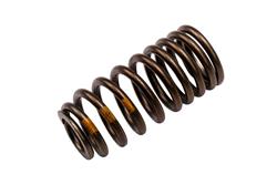 ACDelco Valve Springs 19317154