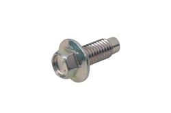 ACDelco Bolts and Screws 19317614