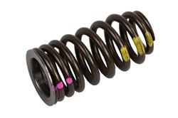 ACDelco Valve Springs 19318158