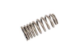 ACDelco Valve Springs 19318159