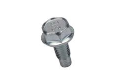 ACDelco Bolts and Screws 19318259