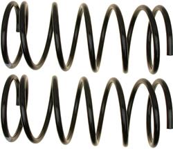 ACDelco Coil Springs 19324128