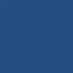 ACDelco Oconus Metallic Touch-Up Paint 19367476
