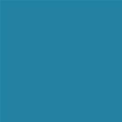 ACDelco Caribbean Metallic Touch-Up Paint 19367482