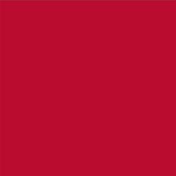 ACDelco Pull Me Over Red Touch-Up Paint 19367657