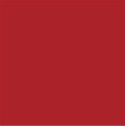 ACDelco Limited Addiction Red Tint Touch-Up Paint 19367663