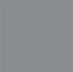 ACDelco Satin Steel Gray Metallic Touch-Up Paint 19367671