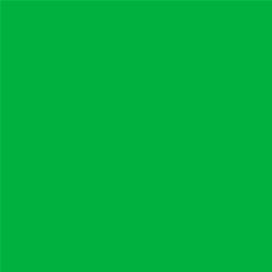 ACDelco Spitfire Touch-Up Paint 19367674