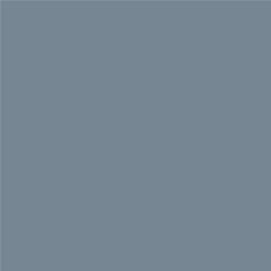 ACDelco Overcast Metallic Touch-Up Paint 19367764
