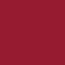 ACDelco Cobalt Red Touch-Up Paint 19367817