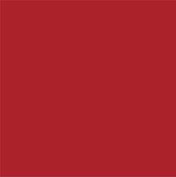 ACDelco Inferno Orange Metallic Touch-Up Paint 19367828