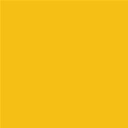 ACDelco Yellow Tint Touch-Up Paint 19367846